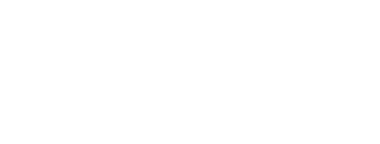 Center for International Disability Advocacy and Diplomacy - St. Cloud State University